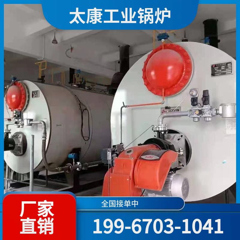 资阳生物质导热油锅炉