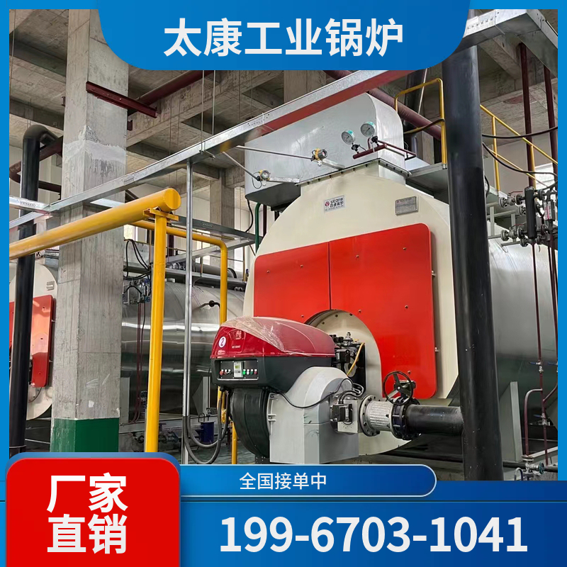 资阳燃煤蒸汽锅炉